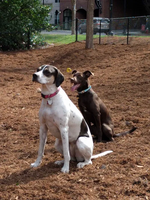 North Hills Dog Park 5