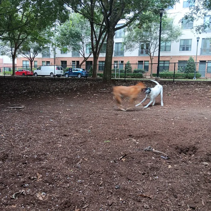 North Hills Dog Park 3