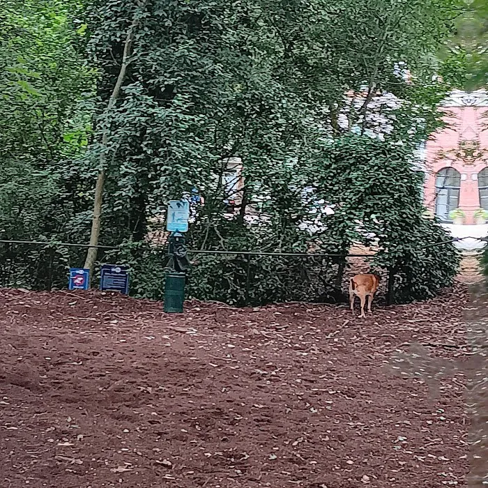 North Hills Dog Park 1
