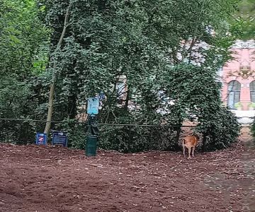 North Hills Dog Park