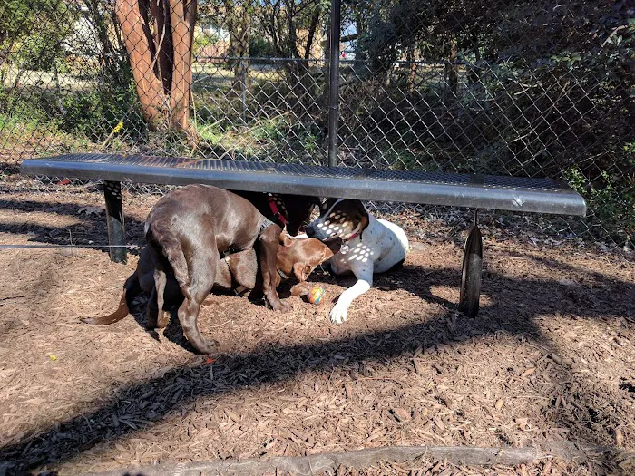 North Hills Dog Park 7