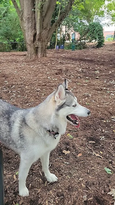 North Hills Dog Park 10