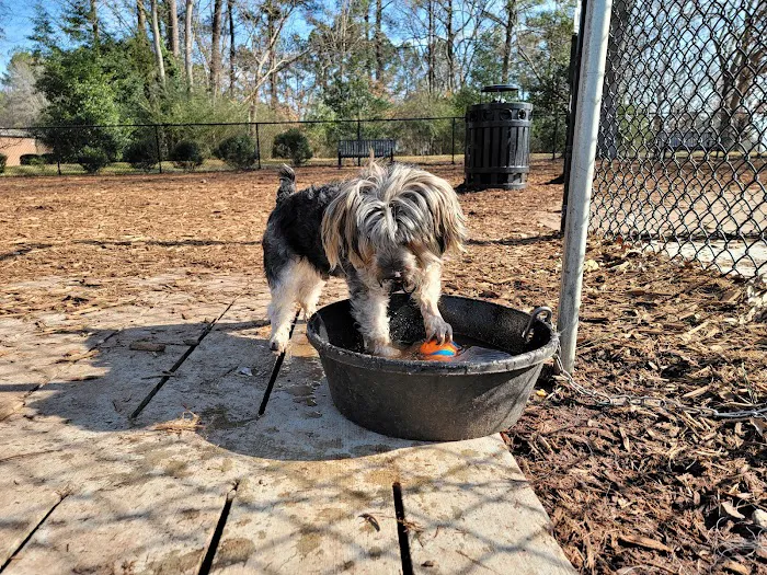 North Garner Dog Park 1