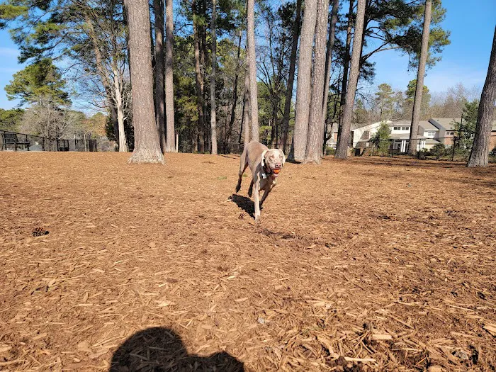 North Garner Dog Park 2