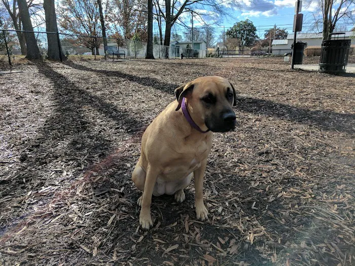 North Garner Dog Park 8