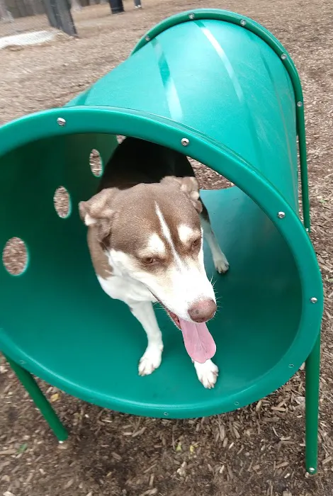 North Garner Dog Park 7