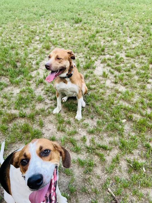 Buffaloe Road Dog Park 8