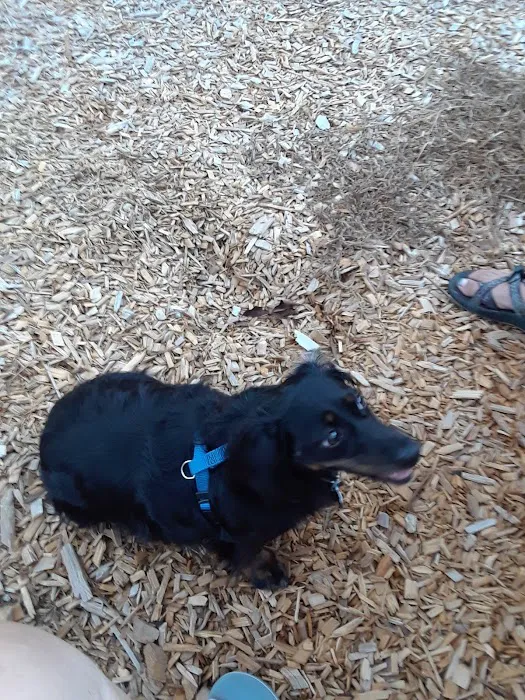 Buffaloe Road Dog Park 5