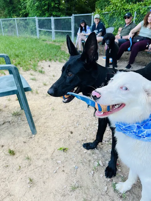 Buffaloe Road Dog Park 7