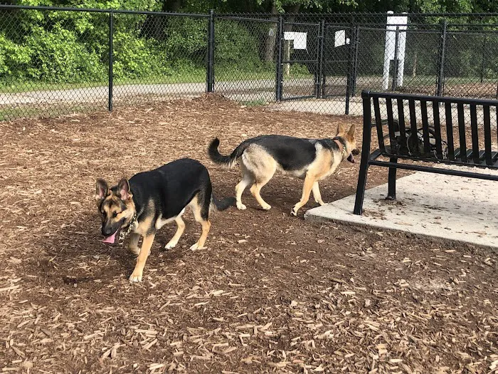 Lake Benson Dog Park 1