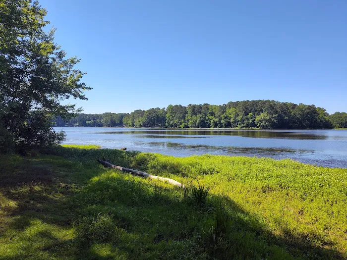 Lake Benson Dog Park 7