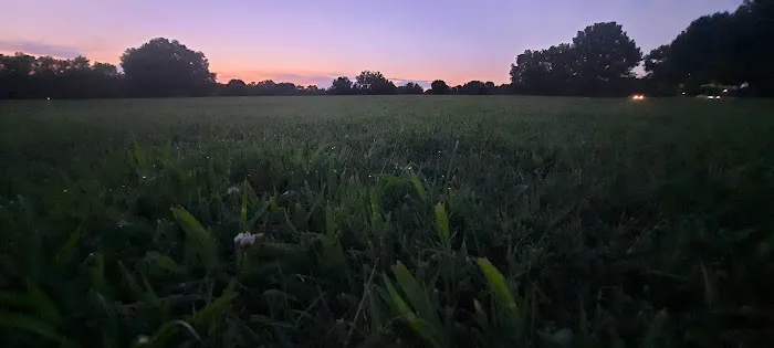 Lake Benson Dog Park 6