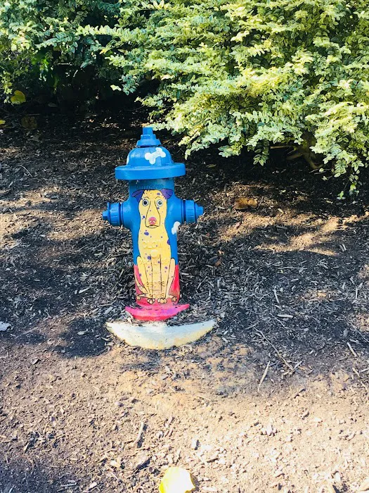 Cary Dog Park at Godbold Park (pass required) 7