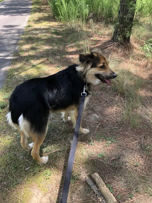 Cary Dog Park at Godbold Park (pass required) 9