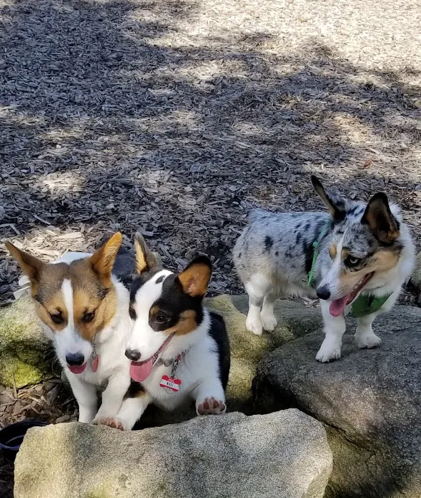 Ashley Wilder Dog Park 7