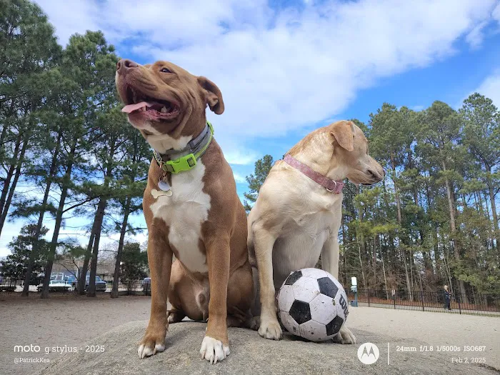 Ashley Wilder Dog Park 4