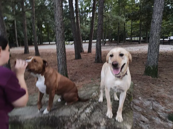 Ashley Wilder Dog Park 2