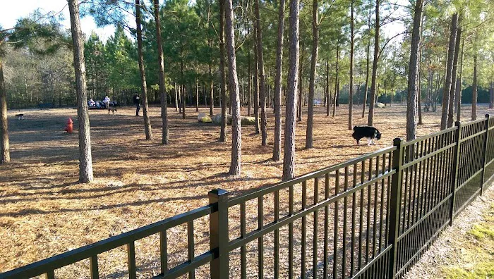 Ashley Wilder Dog Park 1