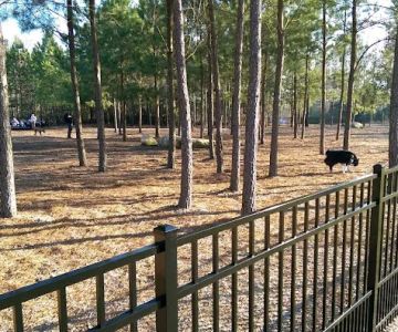 Ashley Wilder Dog Park