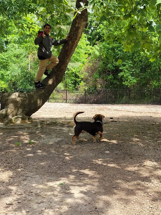 Ashley Wilder Dog Park 10