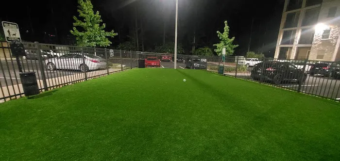 Dog Park 2