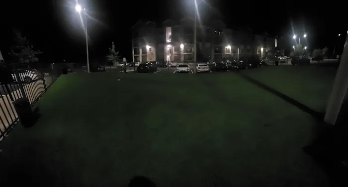 Dog Park 1