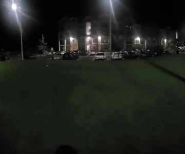 Dog Park