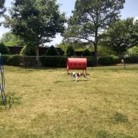 Dog Park at The Crossings (Private) ico