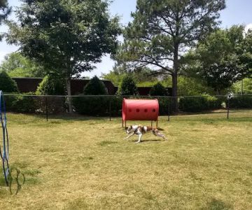 Dog Park at The Crossings (Private)