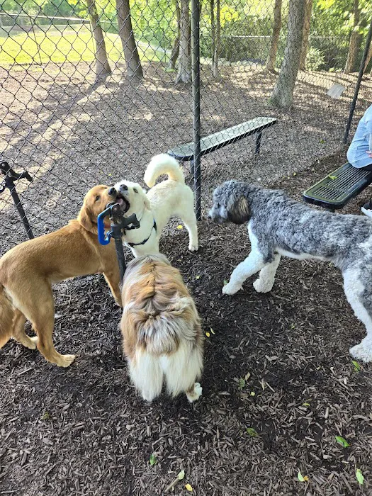 Wendell Paws Dog Park 4