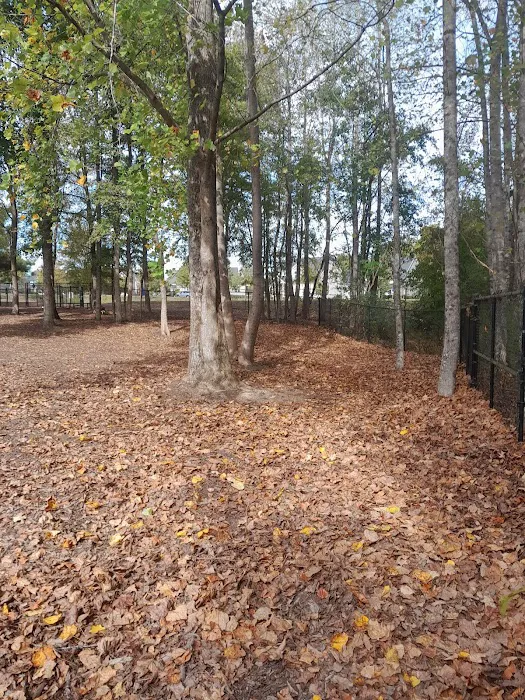Wendell Paws Dog Park 7