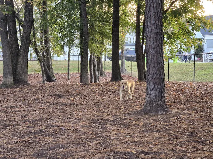 Wendell Paws Dog Park 3