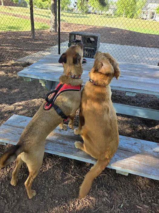 Wendell Paws Dog Park 2
