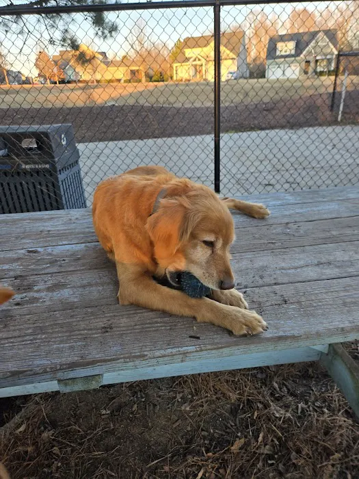 Wendell Paws Dog Park 9