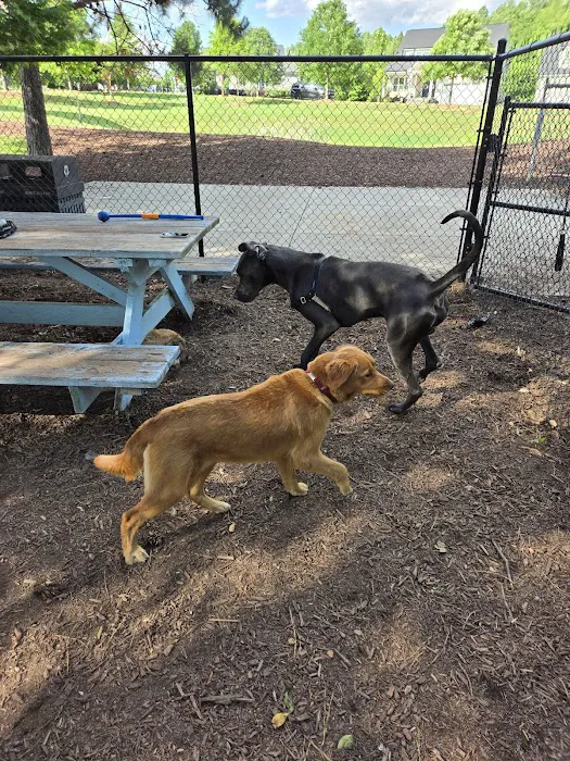 Wendell Paws Dog Park 1