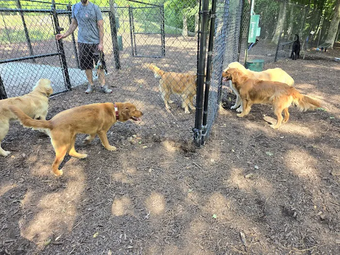Wendell Paws Dog Park 8