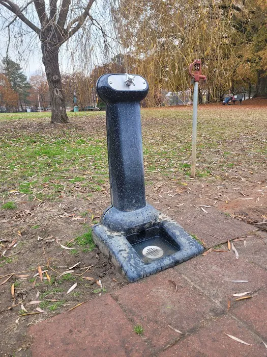 Wendell Dog Park 1