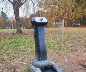 Wendell Dog Park