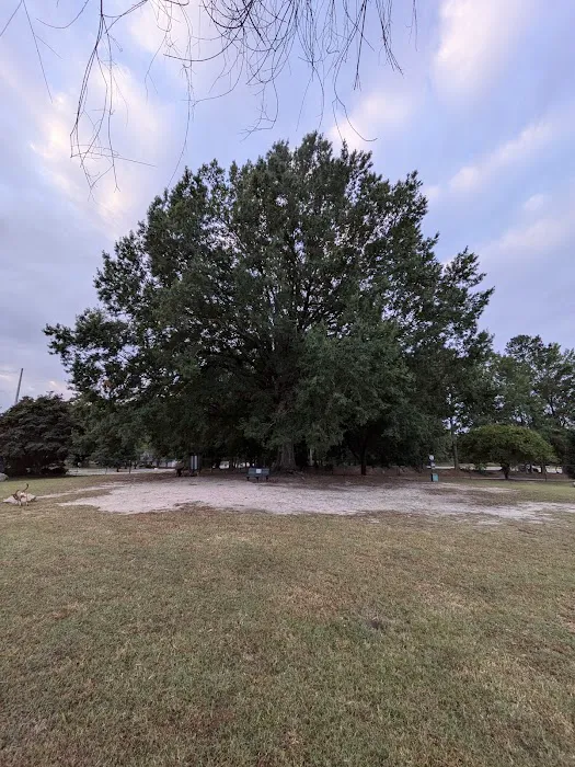 Wendell Dog Park 5