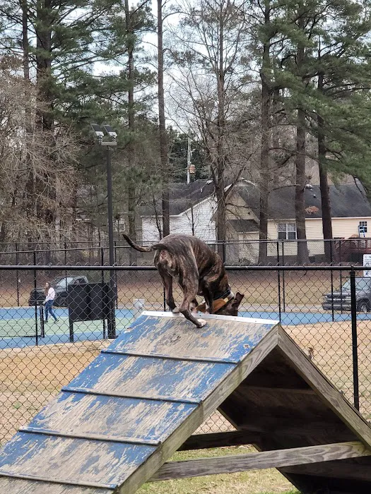 Wendell Dog Park 9