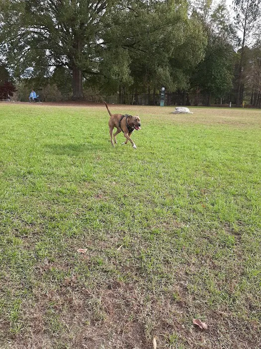 Wendell Dog Park 8