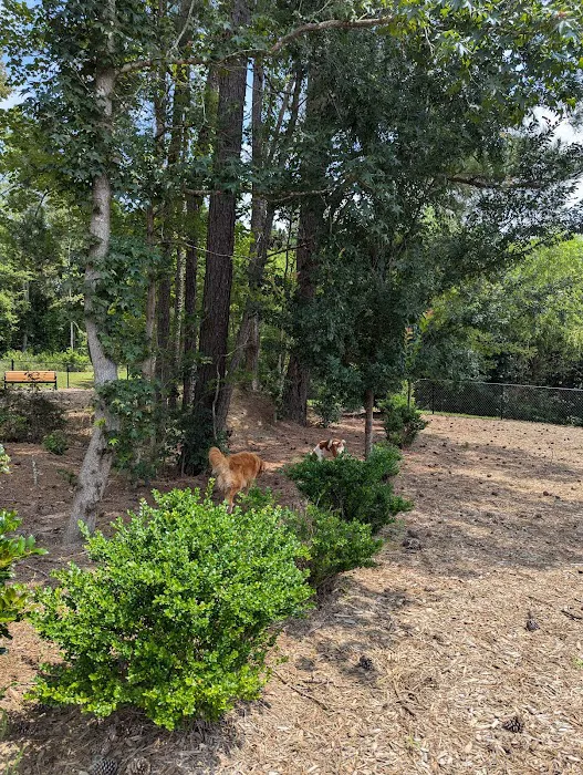 Bethpage dog park 1