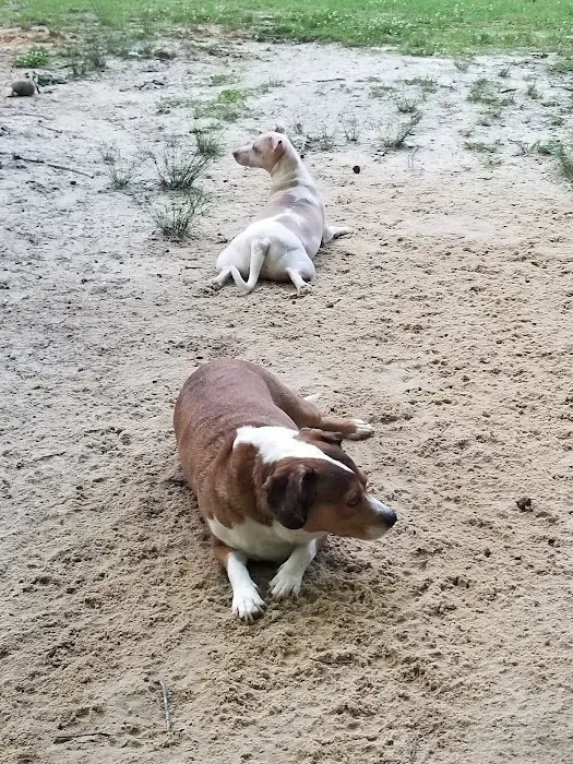 Fuquay-Varina Dog Park 9