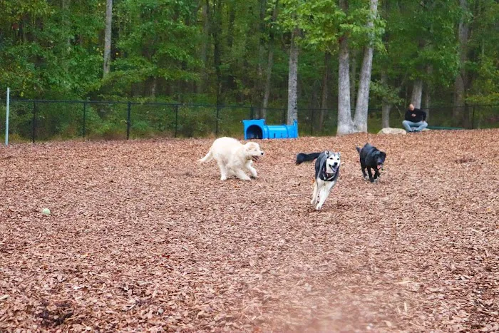 East Clayton Dog Park 1