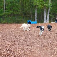 East Clayton Dog Park ico