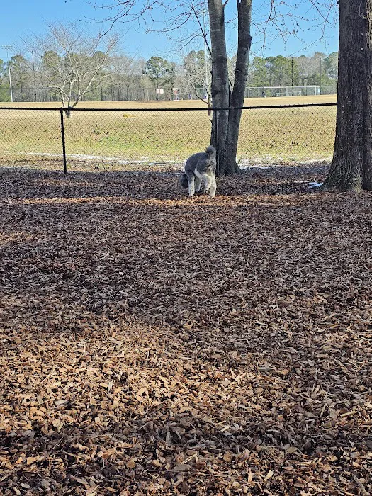 East Clayton Dog Park 5