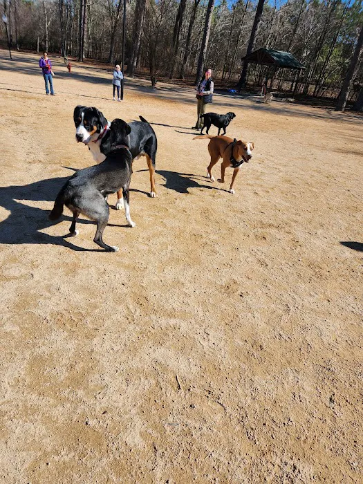 Hunter Street Dog Park (permit required) 7