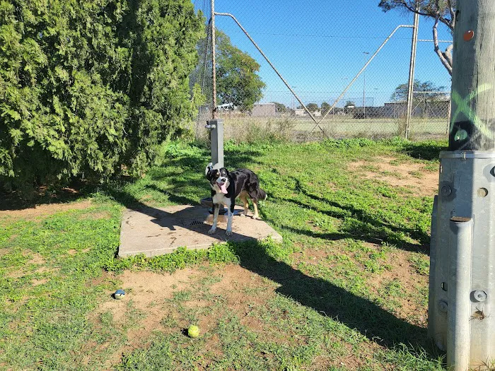 Hunter Street Dog Park (permit required) 6