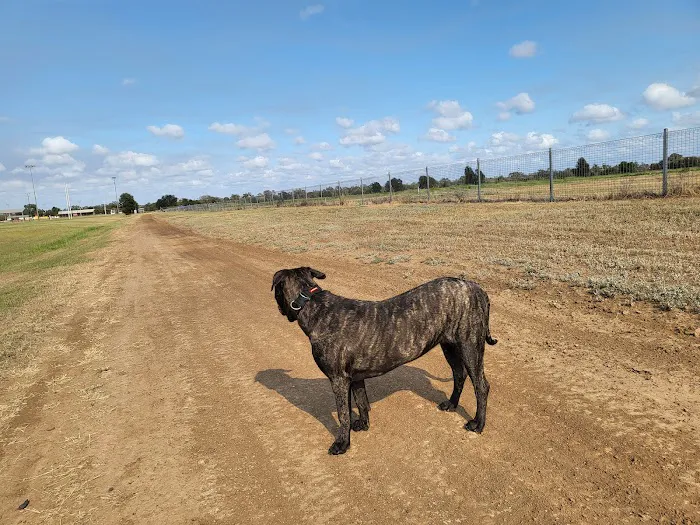Hunter Street Dog Park (permit required) 5