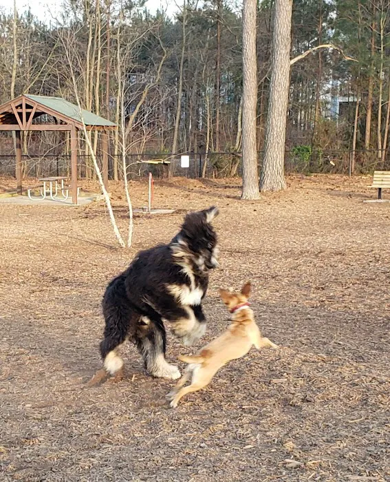 Hunter Street Dog Park (permit required) 2